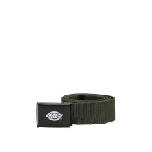 Dickies - Orcutt Webbing Belt